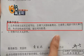 海东为什么选择专业追讨公司来处理您的债务纠纷？